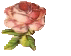 Mosaiques 075